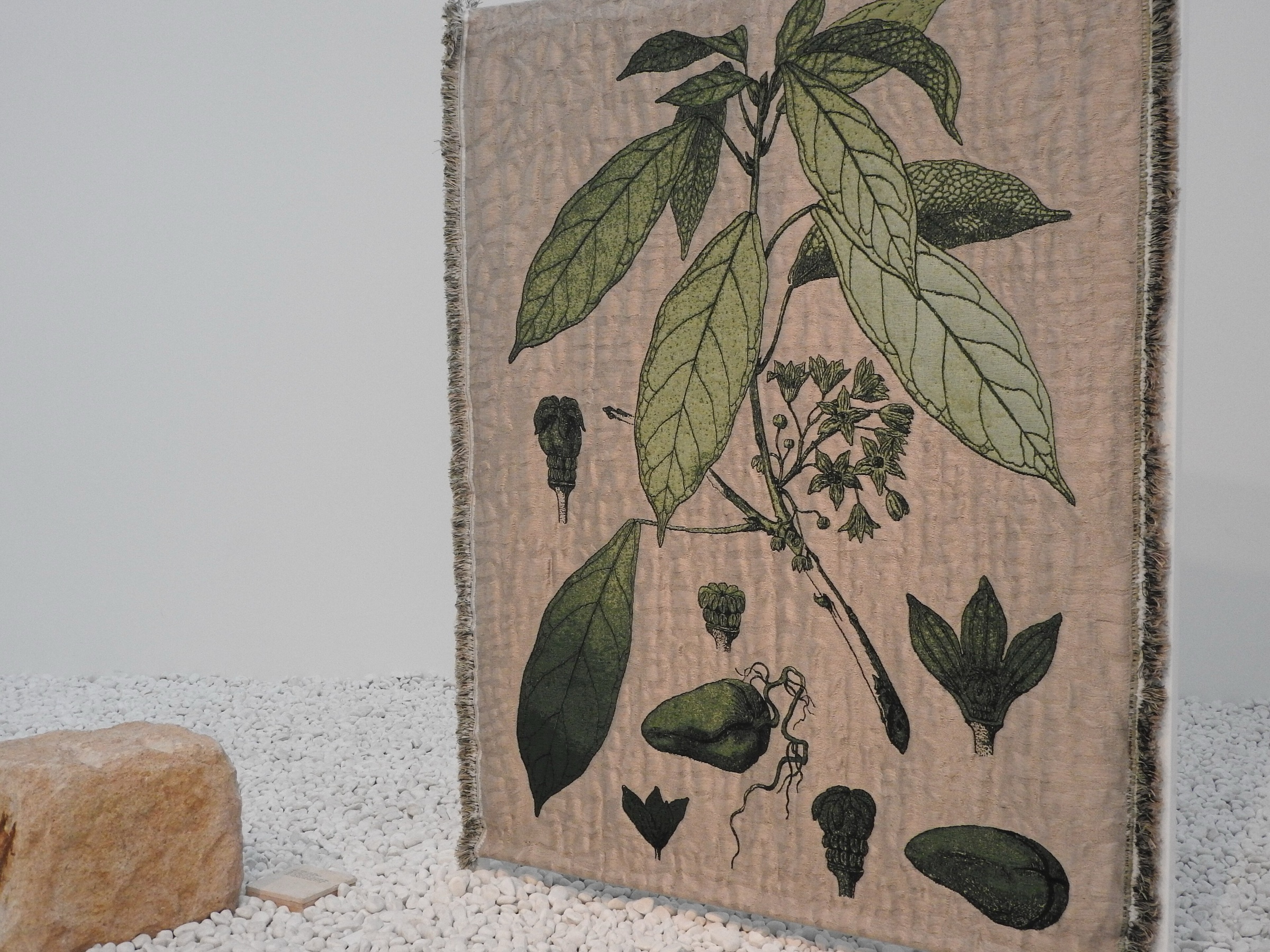 A hanging textile printed with a botanical drawing of leaves, fruit and roots, beside a rough stone on a bed of white gravel