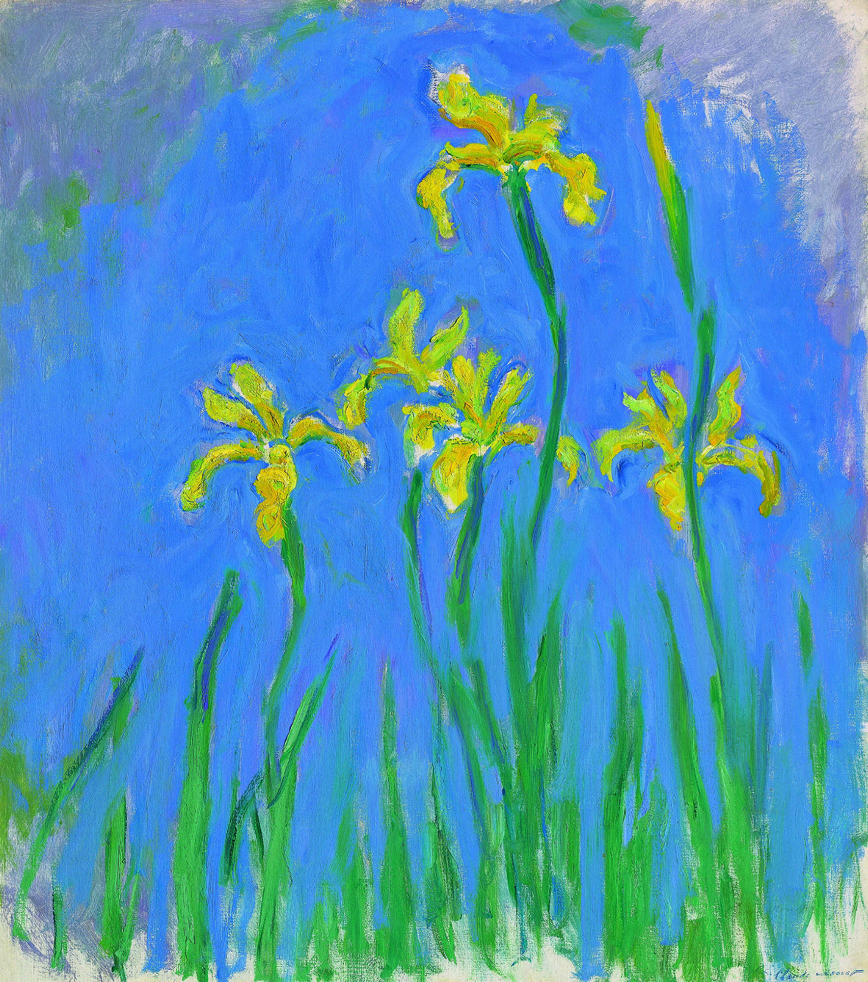 Claude Monet, Les Iris, about 1924–25: yellow irises on tall green stems against a bright blue ground