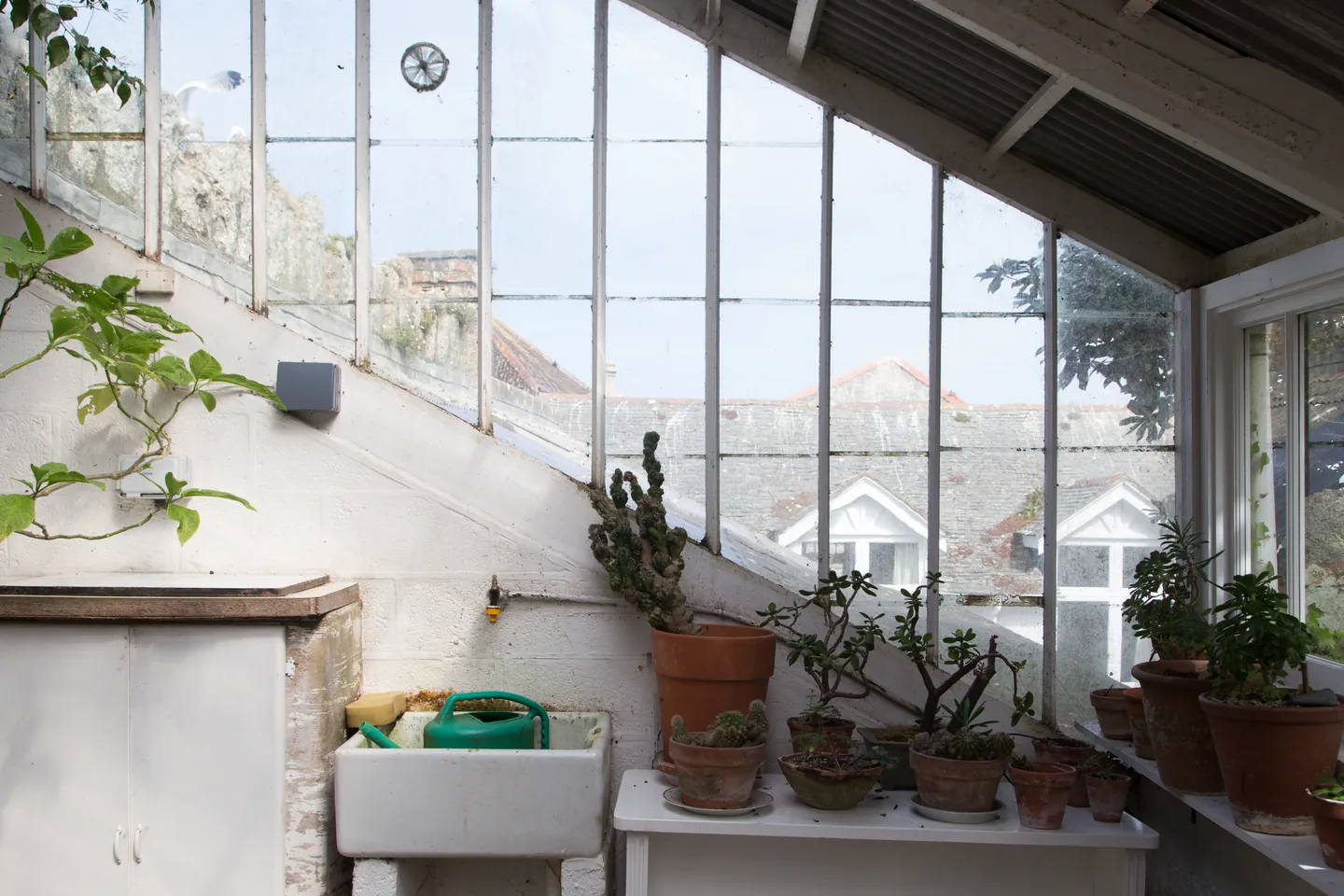 A glass-roofed conservatory with potted cacti and plants on shelves, a white sink and views over the rooftops of St Ives
